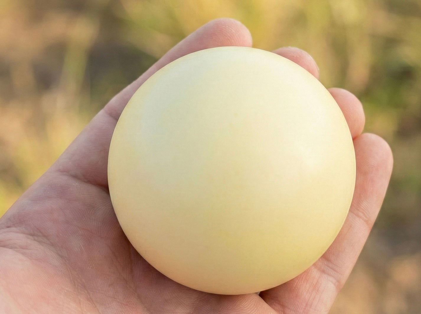 TrueGrip Lacrosse Ball Regripper in use resurfacing a lacrosse ball