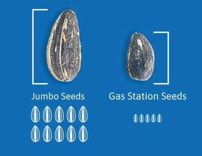 Smackin’ Sunflower Seeds
